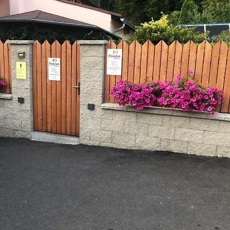 Penzion Radosov Ubytovani V Soukromi 3* Kyselka (Karlovy Vary)