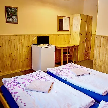Guest house Penzion Radosov Ubytovani V Soukromi Kyselka (Karlovy Vary)